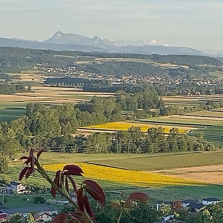 Swiss Borzoi House Bed & Breakfast Vully-les-Lacs Luaran gambar