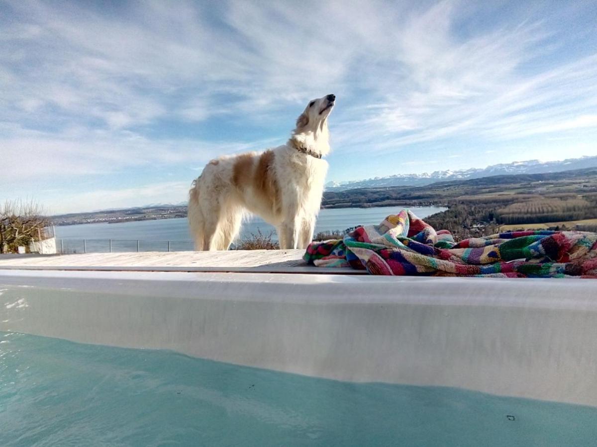 Swiss Borzoi House Bed & Breakfast Vully-les-Lacs Luaran gambar