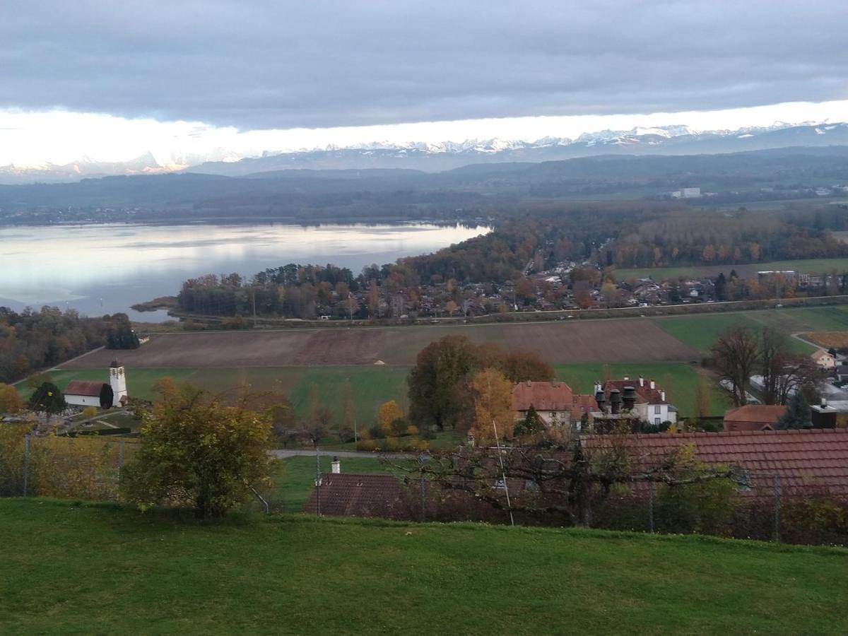Swiss Borzoi House Bed & Breakfast Vully-les-Lacs Luaran gambar