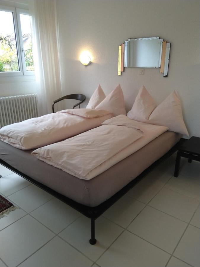Swiss Borzoi House Bed & Breakfast Vully-les-Lacs Luaran gambar