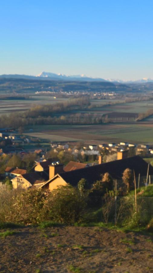 Swiss Borzoi House Bed & Breakfast Vully-les-Lacs Luaran gambar