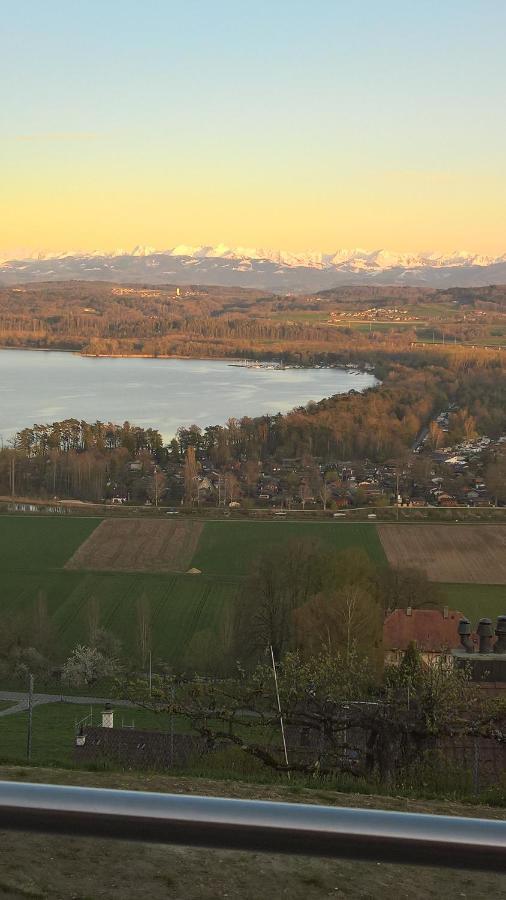 Swiss Borzoi House Bed & Breakfast Vully-les-Lacs Luaran gambar