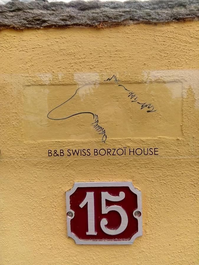 Swiss Borzoi House Bed & Breakfast Vully-les-Lacs Luaran gambar