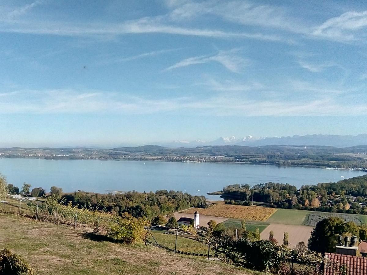 Swiss Borzoi House Bed & Breakfast Vully-les-Lacs Luaran gambar
