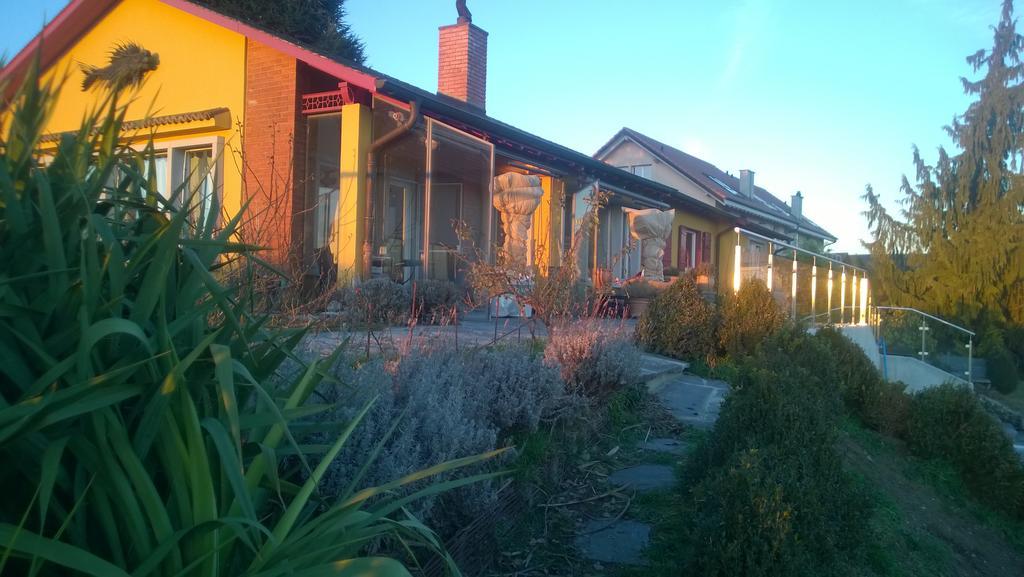 Swiss Borzoi House Bed & Breakfast Vully-les-Lacs Bilik gambar