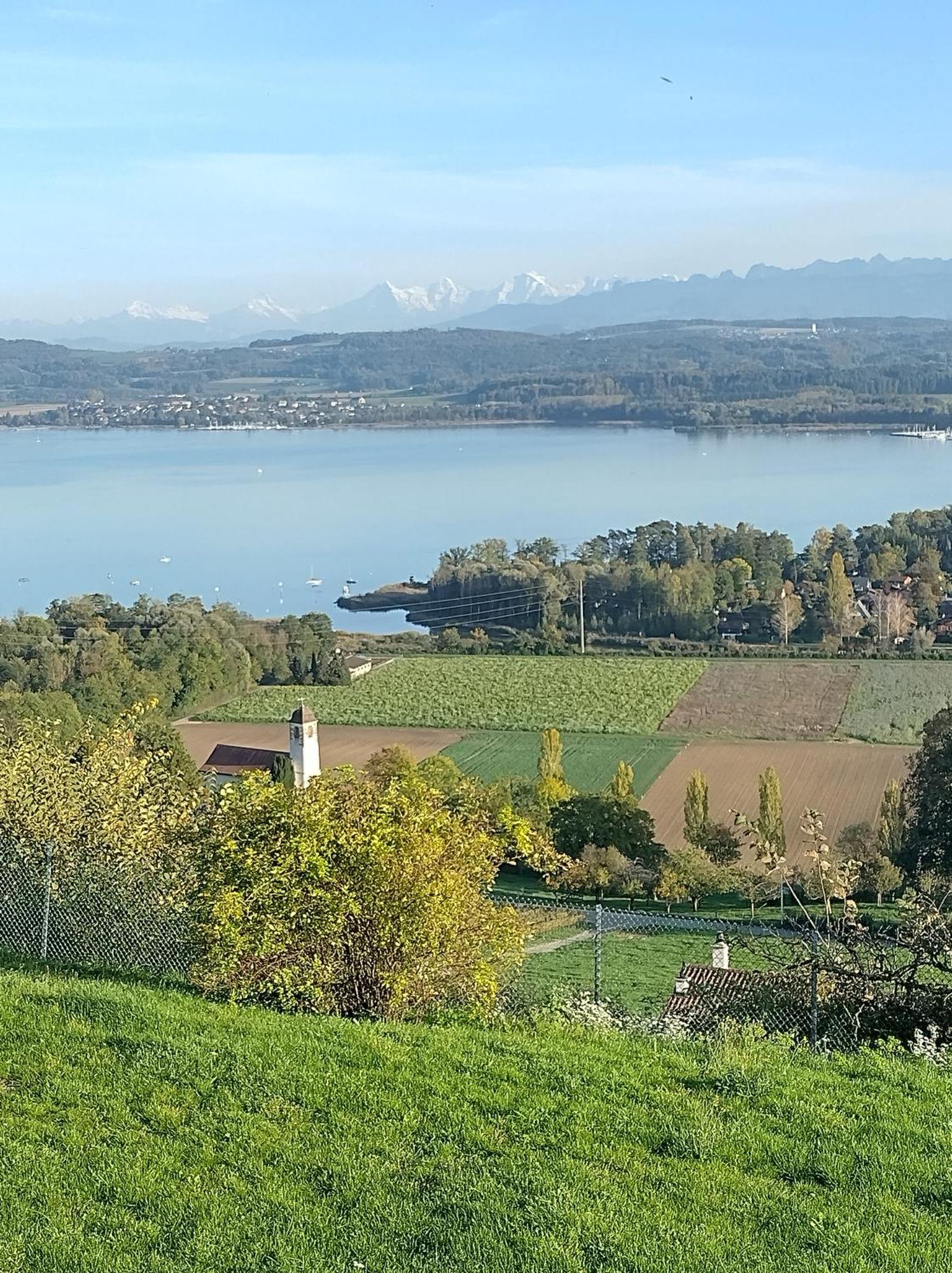 Swiss Borzoi House Bed & Breakfast Vully-les-Lacs Luaran gambar