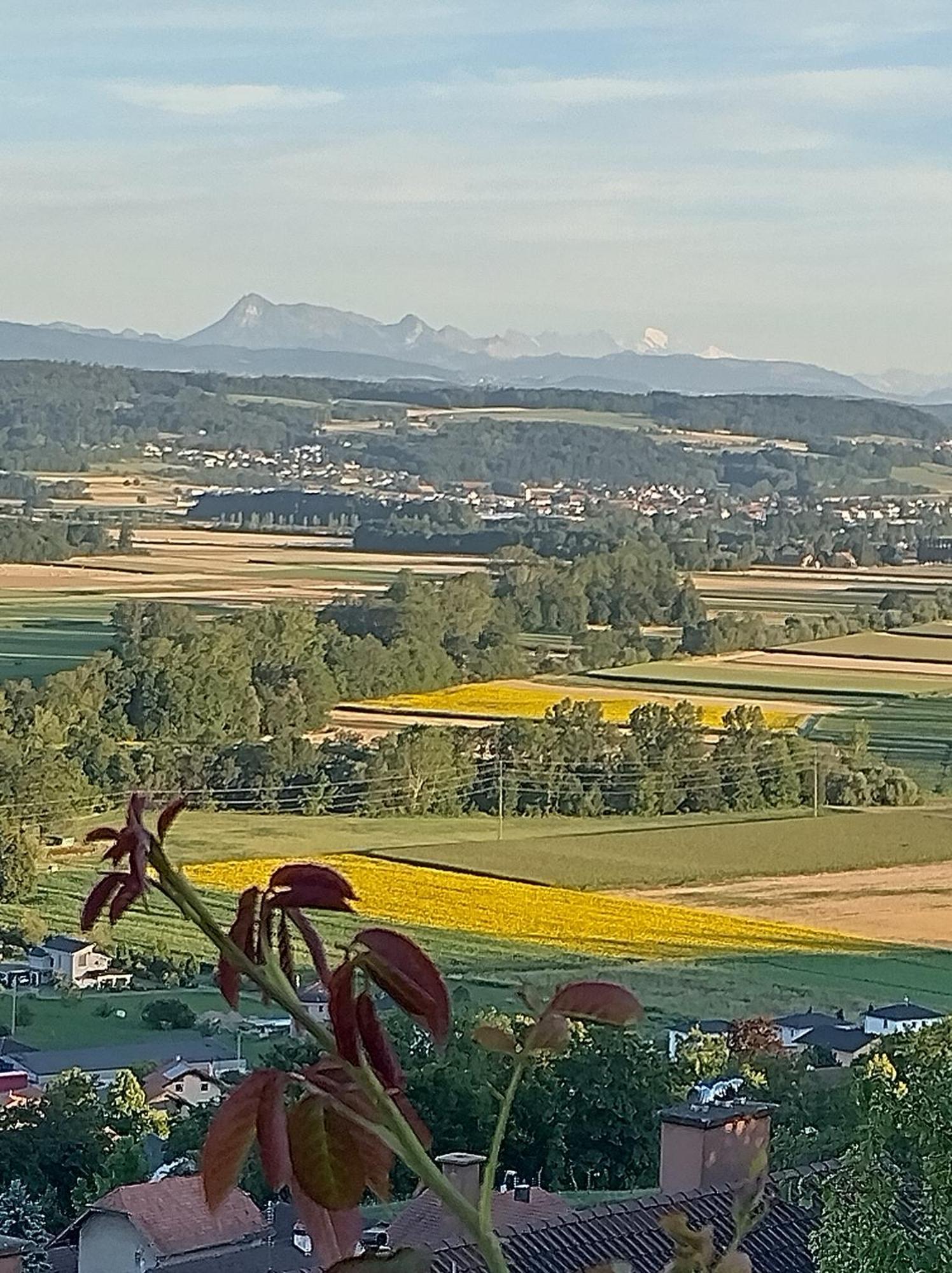 Swiss Borzoi House Bed & Breakfast Vully-les-Lacs Luaran gambar