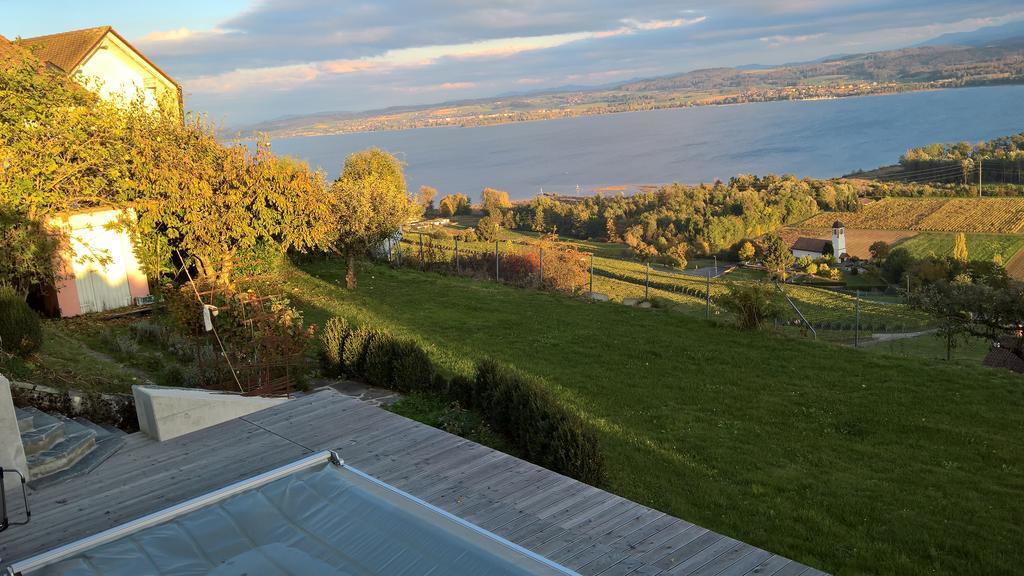 Swiss Borzoi House Bed & Breakfast Vully-les-Lacs Luaran gambar