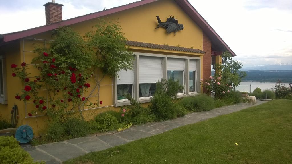 Swiss Borzoi House Bed & Breakfast Vully-les-Lacs Luaran gambar