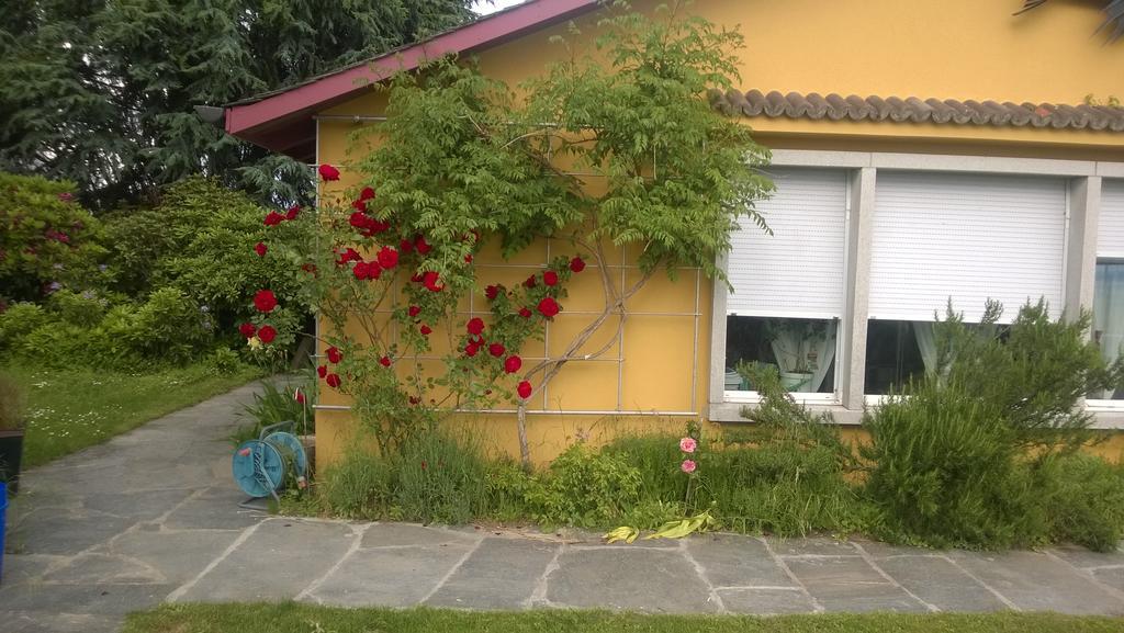 Swiss Borzoi House Bed & Breakfast Vully-les-Lacs Luaran gambar