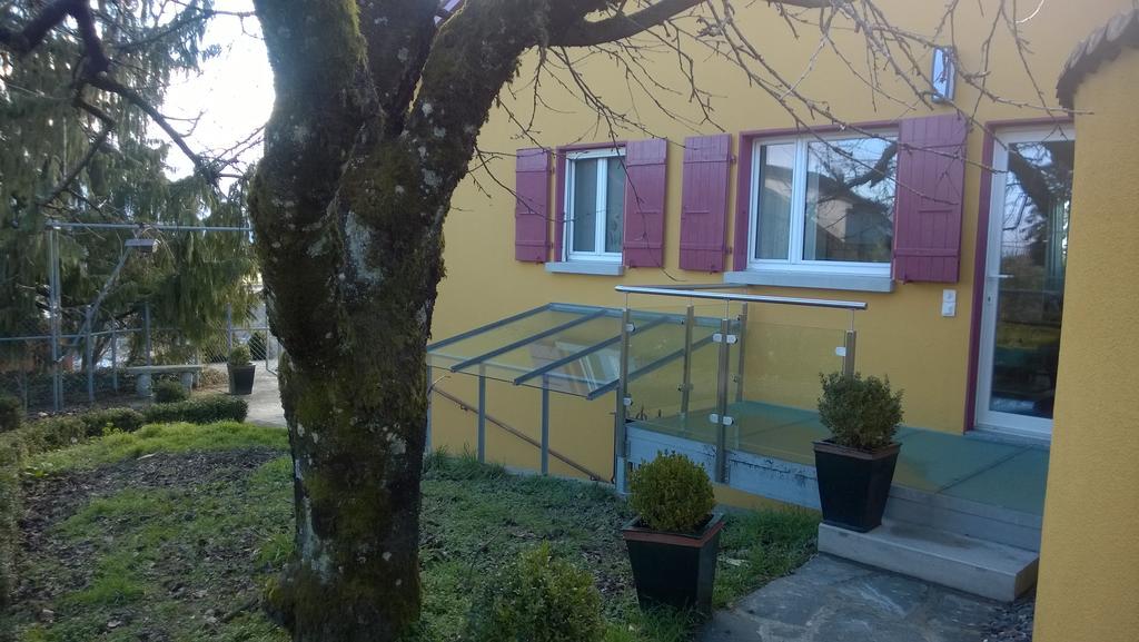 Swiss Borzoi House Bed & Breakfast Vully-les-Lacs Luaran gambar