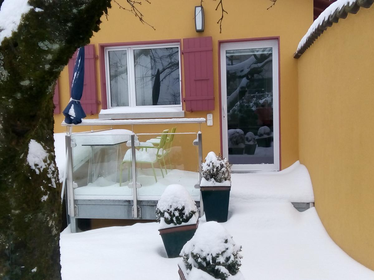 Swiss Borzoi House Bed & Breakfast Vully-les-Lacs Luaran gambar
