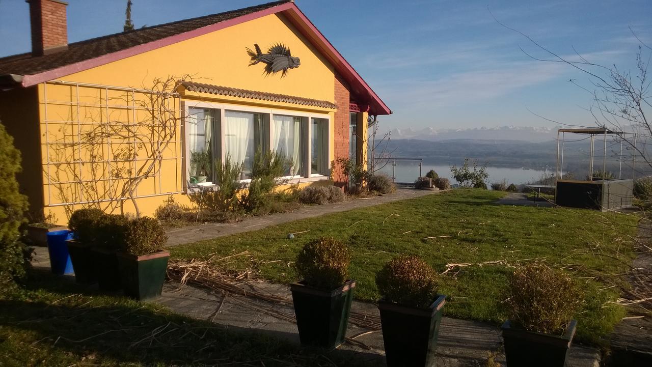 Swiss Borzoi House Bed & Breakfast Vully-les-Lacs Luaran gambar