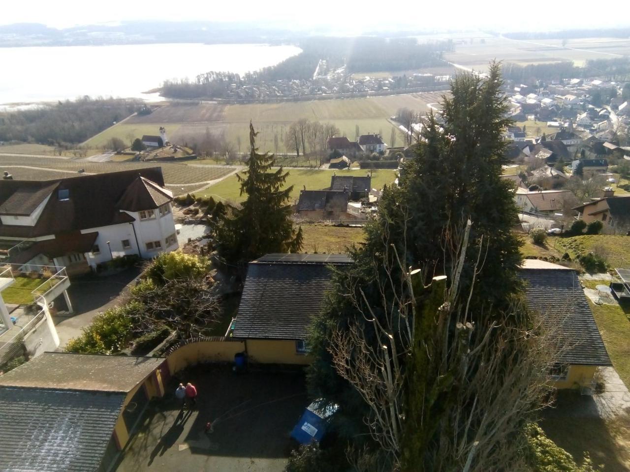 Swiss Borzoi House Bed & Breakfast Vully-les-Lacs Luaran gambar