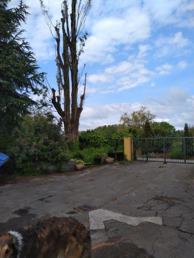 Swiss Borzoi House Bed & Breakfast Vully-les-Lacs Luaran gambar
