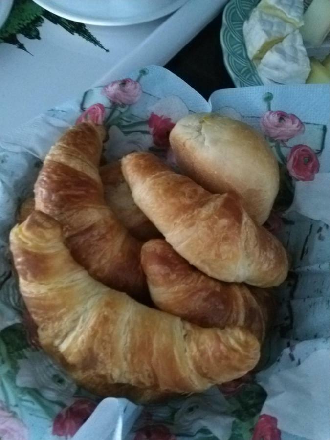 Swiss Borzoi House Bed & Breakfast Vully-les-Lacs Luaran gambar